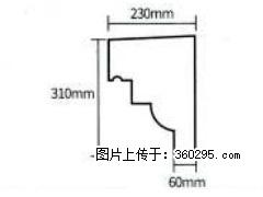 产品分解图型 - 檐口线，型号：SX311-YK-3，规格：230x310mm(3) - 齐齐哈尔三象EPS建材 qqhr.sx311.cc